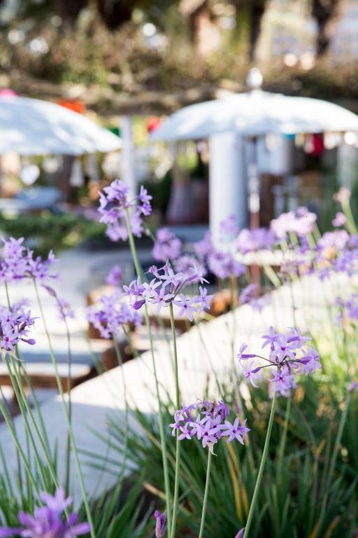 Ibizazen Hotel Santa Eularia des Riu Ngoại thất bức ảnh